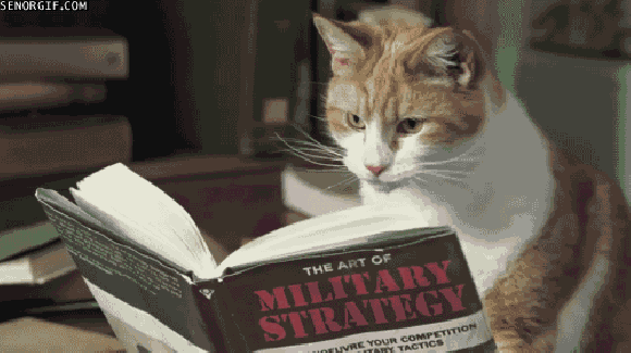 Kot - strateg militarny Kot - strateg militarny