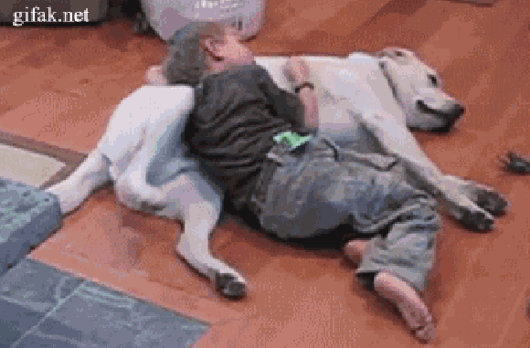 Podrapię Cię po plecach  Podrapię Cię po plecach