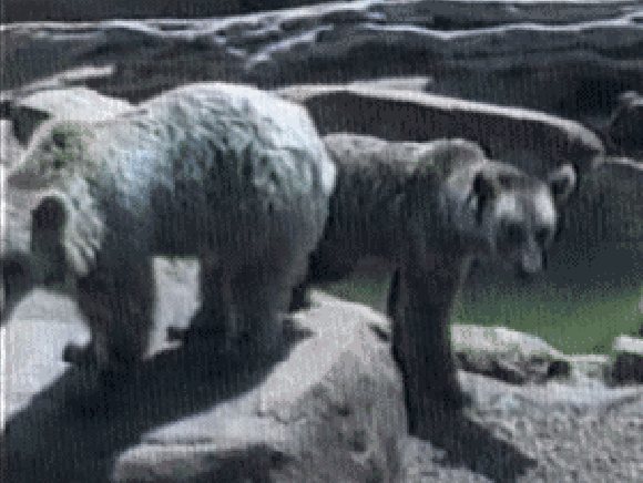 Nie wtykaj nosa w nieswoje sprawy Nie wtykaj nosa w nieswoje sprawy