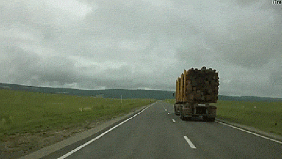 Uwaga! Krowa na drodze. Uwaga! Krowa na drodze.