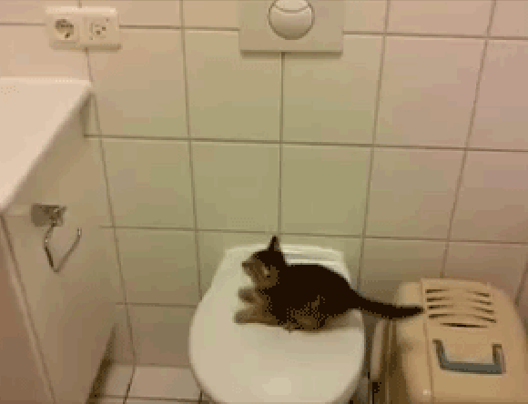 No to hop No to hop