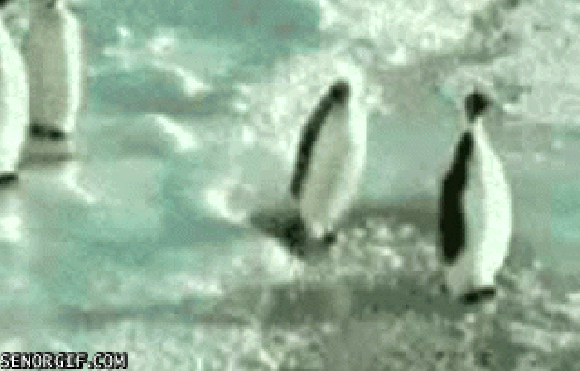 Pomocna dłoń... Pomocna dłoń...