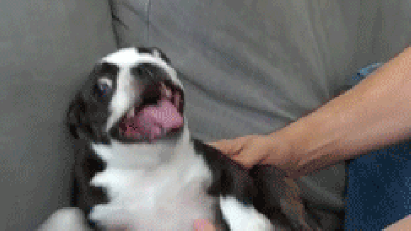 :D :D