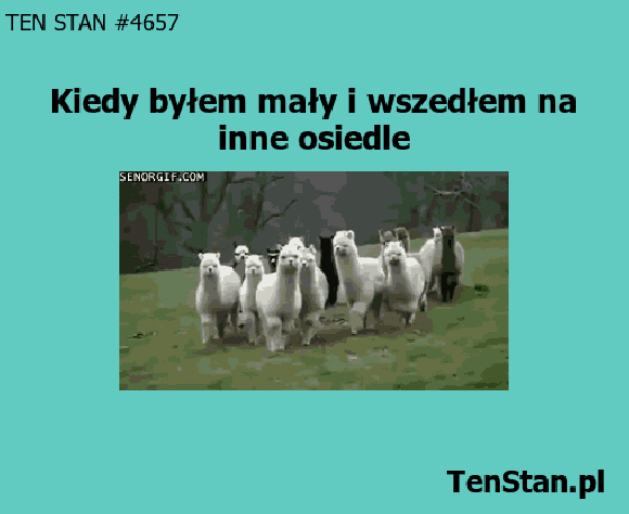 złe sąsiedztwo złe sąsiedztwo