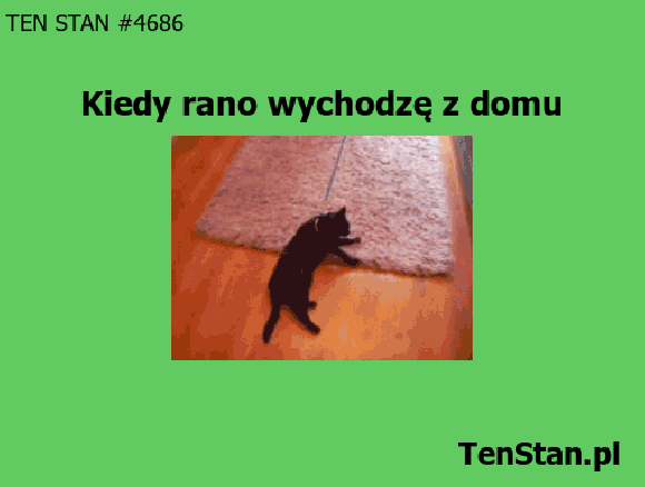 Chodź na spacer Chodź na spacer