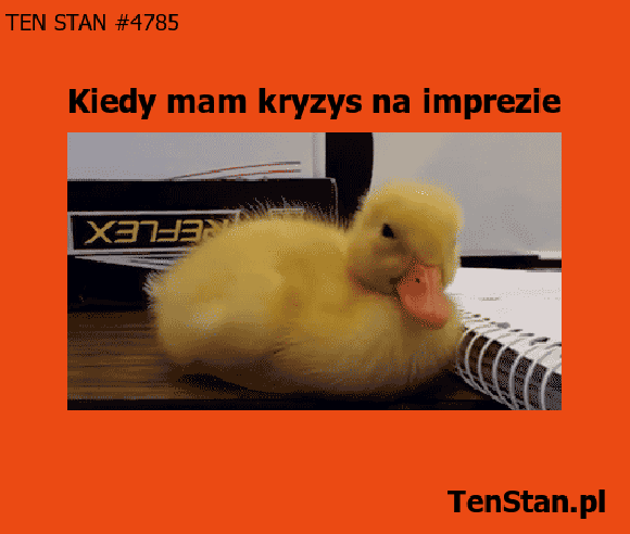 najważniejsze, żeby nie zasnąć najważniejsze, żeby nie zasnąć