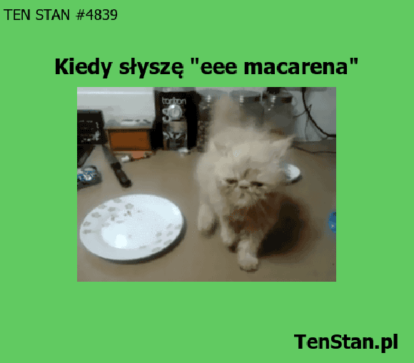 macarena macarena