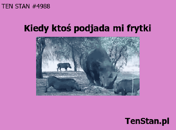 jak jesteś głodny to kup sobie swoje jak jesteś głodny to kup sobie swoje