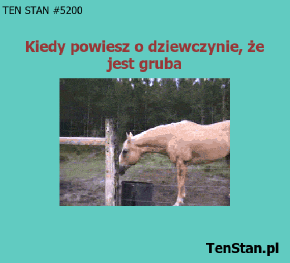 pora uciekać pora uciekać