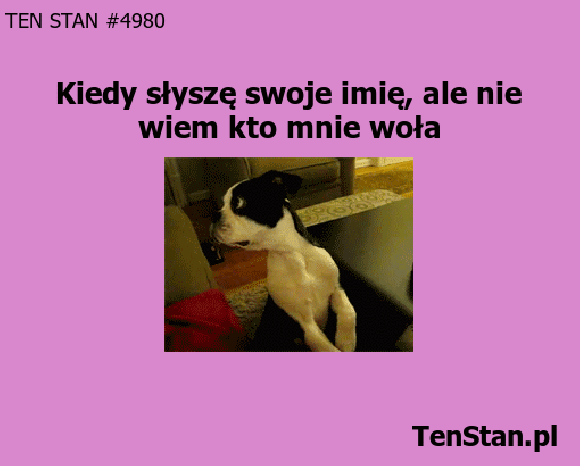 Kto mnie woła? Kto mnie woła?