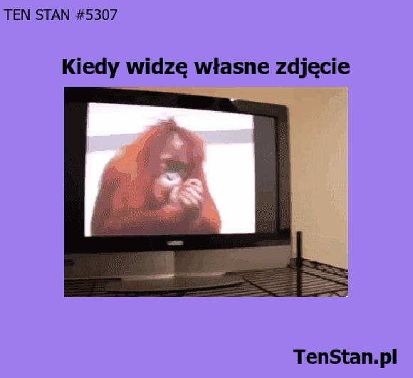 Musiał je robić słaby fotograf, normalnie wychodzę lepiej Musiał je robić słaby fotograf, normalnie wychodzę lepiej