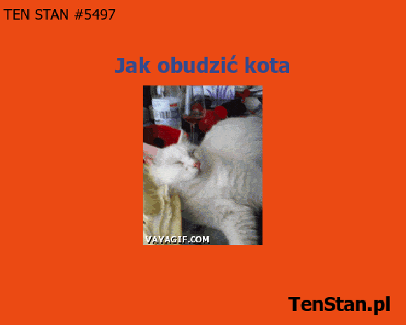 To takie proste To takie proste