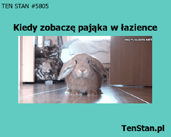 Jaki wielki! Jaki wielki!