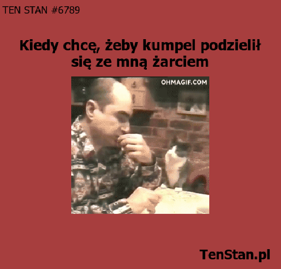 Daj gryza Daj gryza