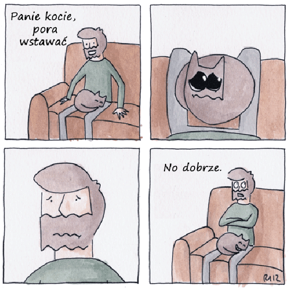 Panie Kocie! Panie Kocie!