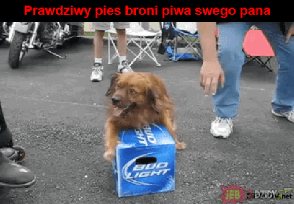Prawdziwy przyjaciel Prawdziwy przyjaciel