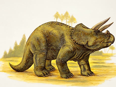 Dinozaur