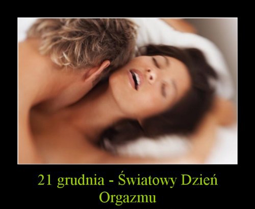 absurdalne święta