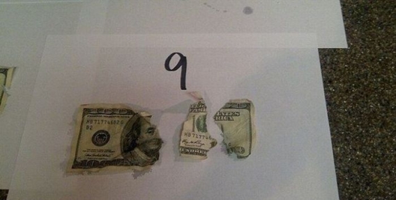 Pies vs 1000$ Pies vs 1000$