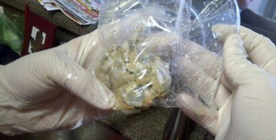 Pies vs 1000$ Pies vs 1000$