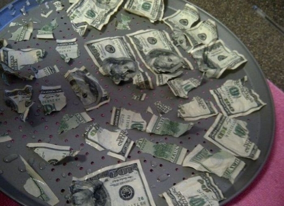 Pies vs 1000$ Pies vs 1000$